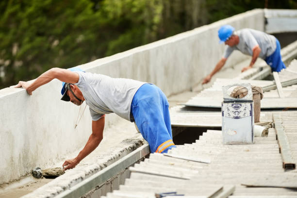 Best Professional Insulation Contractor  in Morgantown, MS