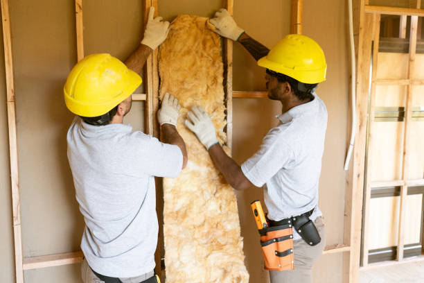 Best Attic Insulation Installation  in Morgantown, MS