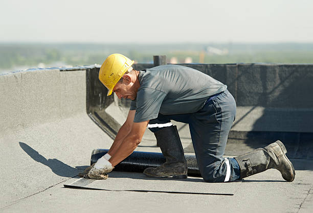 Best Spray Foam Insulation  in Morgantown, MS